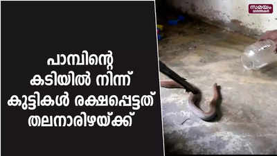 അംഗനവാടിയിൽ കുട്ടികളുടെ ഇരിപ്പിടത്തിന് സമീപം പാമ്പ്;  കുട്ടികൾ രക്ഷപ്പെട്ടത് തലനാരിഴയ്ക്ക്