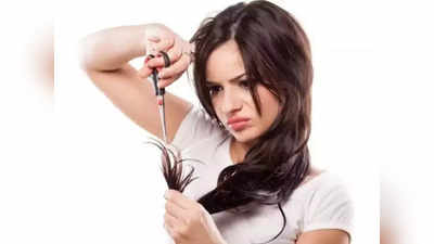 split ends : முடி நீட்டாதான் இருக்கு.. ஆனா வெடிச்சு பிளவுப்பட்டிருக்கா.. இந்த வைத்தியம் போதுமே!