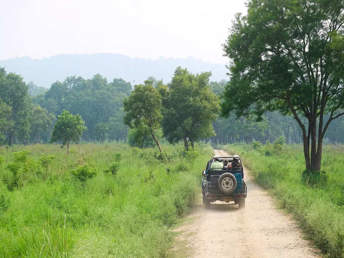 जीप सफारी खुली क्यों होती हैं - Why Jeep Safari is Open