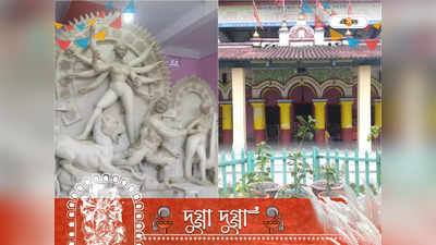 Durga Puja 2022: সাপ জড়ানো পাথরের খণ্ড সামনে রেখে আজও পূজিত হন মহামায়াপাটের দেবী দুর্গা