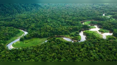 ખતમ થઈ ગયો એમેઝોનના જંગલમાં રહેતો છેલ્લો આદિમાનવ, તીરથી હુમલા કરતો હતો