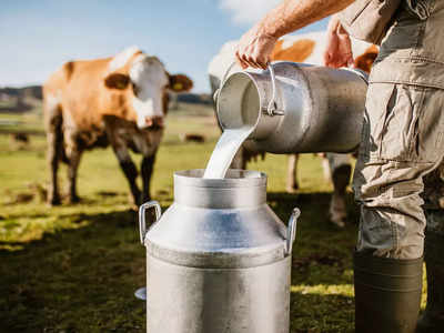 Nandini milk | ಹಾಲು ಲೀಟರ್‌ಗೆ 3 ರೂ. ಹೆಚ್ಚಳಕ್ಕೆ ಸರಕಾರಕ್ಕೆ ಕೆಎಂಎಫ್‌ ಪ್ರಸ್ತಾವನೆ: ಸಿಎಂ ಸಕಾರಾತ್ಮಕ ಸ್ಪಂದನೆ