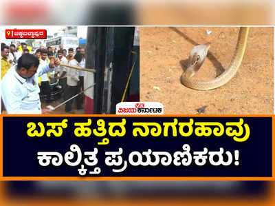 Snake in Bus: ಚಿಕ್ಕಬಳ್ಳಾಪುರದಲ್ಲಿ ಕೆಎಸ್‌ಆರ್‌ಟಿಸಿ ಬಸ್‌ ಹತ್ತಿದ ನಾಗರಹಾವು, ಭಯದಿಂದ ಕಾಲ್ಕಿತ್ತ ಪ್ರಯಾಣಿಕರು!