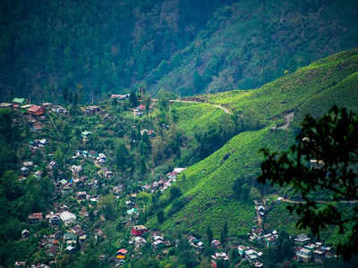 Darjeeling Visit: సెప్టెంబర్‌లో హిల్ స్టేషన్ వెళ్లాలనుకుంటున్నారా.. డార్జిలింగ్ ది బెస్ట్ స్పాట్