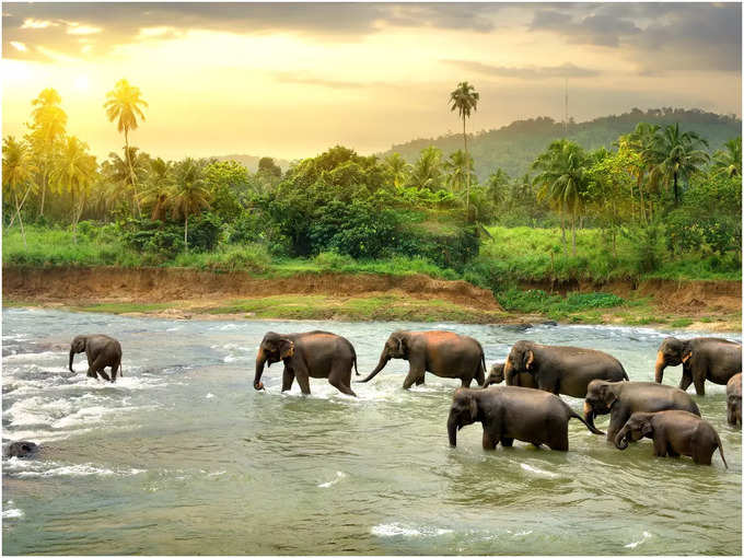 ವನ್ಯಜೀವಿ ಪ್ರೇಮಿಗಳೇ ಕೇಳಿ…!