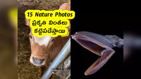 15 Nature Photos : ప్రకృతి వింతలు .. కట్టిపడేస్తాయి 