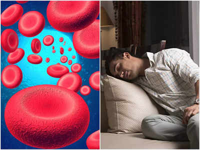 Anemia Symptoms: শরীরে রক্তের ঘাটতি হলে প্রাণ নিয়ে পড়ে টানাটানি! অ্যানিমিয়ার লক্ষণ, চিকিৎসা জানালেন ডাক্তার