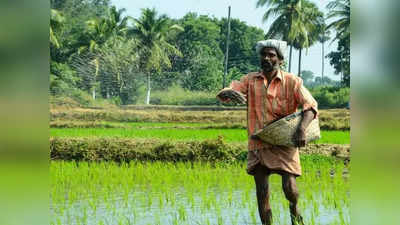 நெல் விவசாயிகளுக்கு ஹேப்பி நியூஸ்.. தமிழக முதல்வர் உத்தரவு!