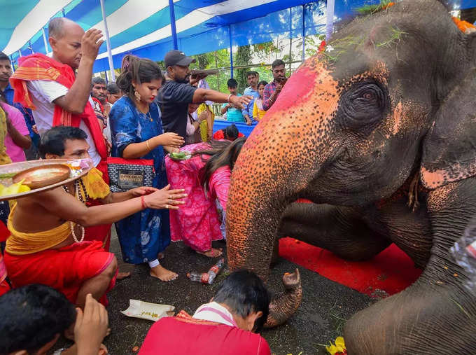 விநாயகர் சதுர்த்தி கொண்டாட்டம்!