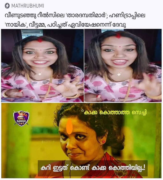 മോളൂസെ ഇവിടെ ഒരു ക്രിമിനൽ ഉണ്ട്