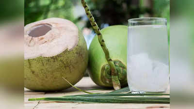 Benefits of Coconut Water : നാളികേരവെള്ളവും അതിന്റെ ഒട്ടനവധി ഗുണങ്ങളും