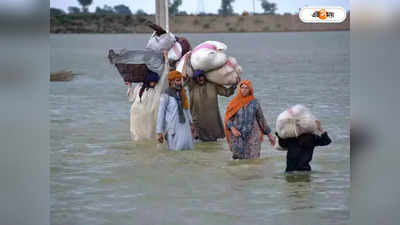 Pakistan Floods 2022: বিবাদ ভুলে পাকিস্তানের পাশে ভারত, বন্যায় সাহায্য নিয়ে আলোচনা কেন্দ্রের
