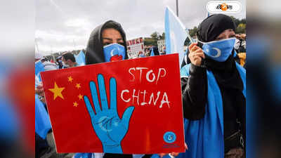 UN Report On China: চিনের শিনজিয়াংয়ে মানবাধিকার লঙ্ঘন উদ্বেগজনক, রাষ্ট্রসংঘের রিপোর্টে চাঞ্চল্য