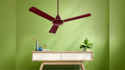 इन लेटेस्ट BLDC Ceiling Fan से मिलेगा हाई स्पीड एयर फ्लो, बिजली की खपत भी होगी काफी कम