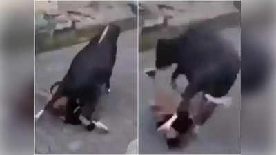 Video: मुलींसमोर शायनिंग मारणं पडलं भारी, भडकलेल्या बैलानं उचलून खाली आदळलं