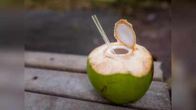 World Coconut Day: नारळाचे पाणी चेहऱ्यावर लावण्याचे आश्चर्यकारक फायदे,आता टॅनिंगची समस्या होणार कायमची दूर