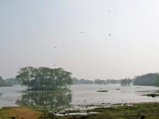 ಸುಲ್ತಾನ್‌ಪುರ ರಾಷ್ಟ್ರೀಯ ಉದ್ಯಾನವನ, ಹರಿಯಾಣ