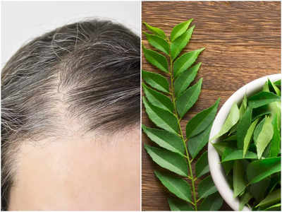 Curry Leaves For Hair: পাকা চুল উধাও  হবে! ৭ দিনেই মাথা ভর্তি কুচকুচে কালো চুল ফিরিয়ে দেবে আপনার পরিচিত এই পাতা!