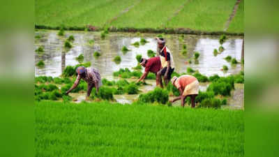 UP में अब नालों के पानी से लहलहाएंगी किसानों की फसलें, नदियों की सफाई के साथ बेहतर सिंचाई की कोशिश