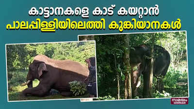 പാലപ്പിള്ളിയിൽ തമ്പടിച്ച കാട്ടാനകളെ കാട് കയറ്റാന്‍ കുങ്കിയാനകളെത്തി