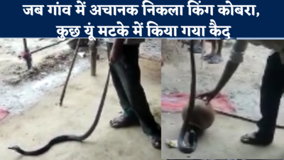 Cobra Viral Video: जालौन के गांव में अचानक निकला कोबरा, सपेरे ने मटके में किया कैद, देखें वीडियो