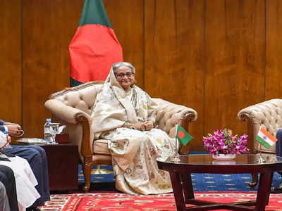 Sheikh Hasina:... দিল্লিতে লুকিয়ে থাকতে বাধ্য হয়েছিলাম, হাসিনার মন্তব্যে চাঞ্চল্য