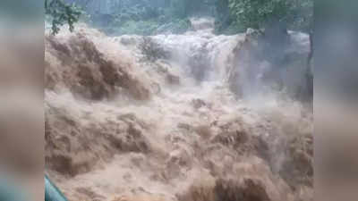 പാലക്കാടും മലവെള്ളപ്പാച്ചിൽ; കാർ ഒഴുക്കിൽപ്പെട്ടു, ഗർഭിണിയും ഭർത്താവും രക്ഷപ്പെട്ടത് തലനാരിഴയ്ക്ക്