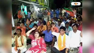 BJP West Bengal: কুলতলিতে BJP-র পথসভায় জোড়া হামলার অভিযোগ, কাঠগড়ায় তৃণমূল