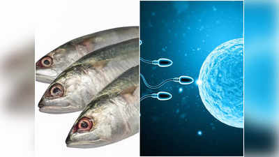 Fish Oil Benefits for Mens: মাছের তেলেই পুরুষের যৌবনে আসবে জোয়ার, ফার্টিলিটি বাড়ে কয়েকগুণ! জানুন