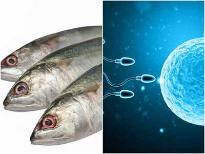 Fish Oil Benefits for Mens: মাছের তেলেই পুরুষের যৌবনে আসবে জোয়ার, ফার্টিলিটি বাড়ে কয়েকগুণ! জানুন