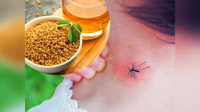 Dengue home remedy: बढ़ा डेंगू का आतंक! बुखार-जोड़ों व सिर में दर्द जैसे संकेत मिलते ही घोल के पी लें ये 5 पत्ते