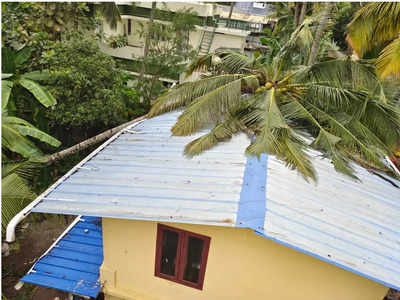 കൊല്ലത്ത് 2 മണിക്കൂറോളം തുടര്‍ച്ചയായി വീശിയടിച്ച് കാറ്റ്; മരങ്ങള്‍ കടപുഴകി വീണു, ട്രെയിന്‍ ഗതാഗതം തടസപ്പെട്ടു