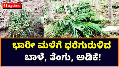 Heavy Rain: ಚಿತ್ರದುರ್ಗದಲ್ಲಿ ವರುಣನ ಅವಾಂತರ! ಭಾರೀ ಮಳೆಗೆ ಹಿರಿಯೂರಿನಲ್ಲಿ ಧರೆಗುರುಳಿದ ಬಾಳೆ, ತೆಂಗು, ಅಡಿಕೆ ಮರಗಳು, ರೈತರು ಕಂಗಾಲು