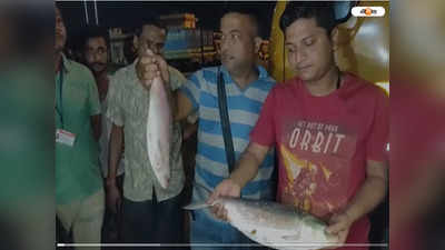 Hilsa Fish: পেট্রাপোল সীমান্তে ঢুকল বাংলাদেশি ইলিশ, মঙ্গলেই বাজারে মিলবে পদ্মার রুপোলি শস্য
