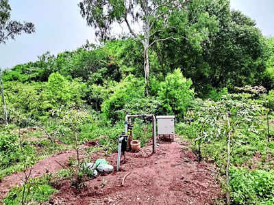 Chikkaballapur Rain | ಬೋರ್‌ವೆಲ್‌ಗಳಲ್ಲಿ ಜಲ ವೈಭವ: ಚಿಕ್ಕಬಳ್ಳಾಪುರದಲ್ಲಿ ಅಂತರ್ಜಲ ಮಟ್ಟ ಏರಿಕೆ