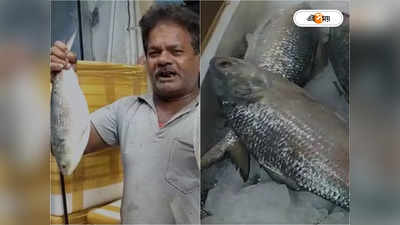 Ilish Fish : হাসিনার উপহার, পুজোর আগেই  ২৪৫০ মেট্রিক টন ইলিশ পাঠাচ্ছে বাংলাদেশ