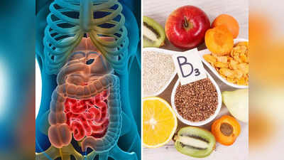 Vitamin B3 की कमी से बिना महसूस कई अंग होने लगेंगे खराब, किसी भी कीमत पर खाना शुरू करें ये 12 चीजें