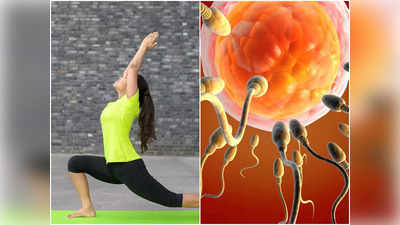 Yoga to Increase Fertility: এই যোগেই পুরুষ, মহিলার ফার্টিলিটি বাড়বে অনায়াসে, পাবেন সন্তান ধারণের ক্ষমতা
