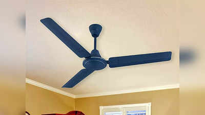 हाई स्पीड एयर फ्लो वाले हैं ये बेहतरीन Ceiling Fan, कमरे को भी मिलेगा एलिगेंट स्टाइल
