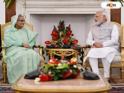 India Bangladesh Relations : কুশিয়ারা নদীর জলবণ্টন নিয়ে নয়া চুক্তি, মোদী-হাসিনা বৈঠকে স্বাক্ষরিত ৭টি মউ