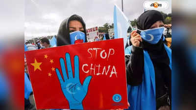 UN Report on china Human Rights: মানবাধিকার লঙ্ঘন নিয়ে রাষ্ট্রসংঘের রিপোর্টে চাঞ্চল্যকর তথ্য, ভিত্তিহীন দাবি চিনের
