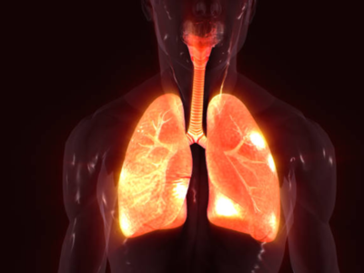 Lungs Health: ఈ మూలికలు.. ఊపిరితిత్తులను శుభ్రం చేస్తాయ్..!