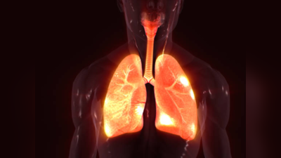 Lungs Health: ఈ మూలికలు.. ఊపిరితిత్తులను శుభ్రం చేస్తాయ్..!