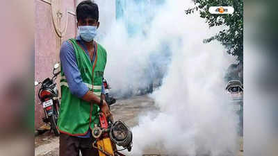 Siliguri Dengue: পুজোর মুখে শিলিগুড়িতে হু হু করে বাড়ছে ডেঙ্গি, উদ্বিগ্ন স্বাস্থ্য দফতর