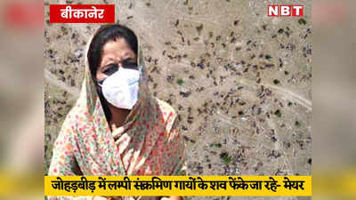 Bikaner News: लम्पी वायरस से हजारों गायों की मौत, मेयर सुशीला कंवर ने खोली सरकारी अफसरों की पोल