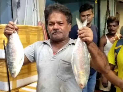 Hilsa Price: বাজারে মরশুমের প্রথম বাংলাদেশি ইলিশ, কত দামে কিনবেন?