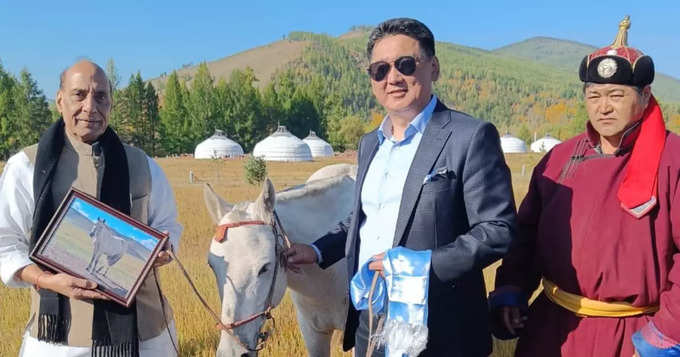 Mongolia gift