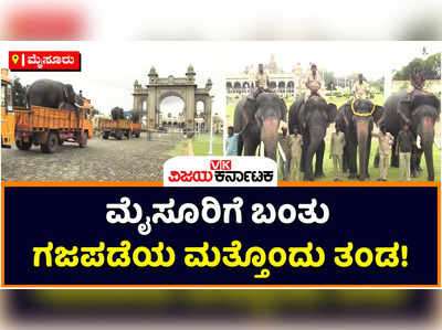 Mysuru Dasara: ಮೈಸೂರಿಗೆ ಬಂದಿಳಿದ ಗಜಪಡೆಯ ಮತ್ತೊಂದು ತಂಡ! ಪಾರ್ಥಸಾರಥಿಯೇ ಪ್ರಮುಖ ಆಕರ್ಷಣೆ