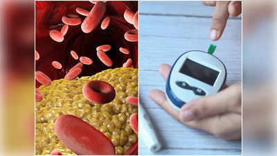 High Cholesterol Risk Factors: চিকিৎসকের মতে সবার নয়, এই ৫ ধরনের মানুষের কোলেস্টেরল বেড়ে হয় Heart Attack