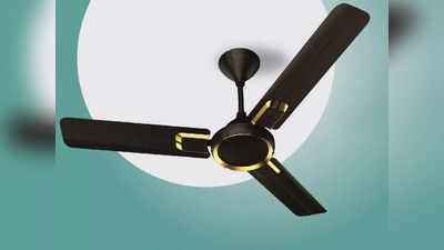 Best Ceiling Fan : एनर्जी सेविंग हैं ये फास्ट एयर फ्लो वाले Havells Fan, बजट वाली रेंज भी है शामिल